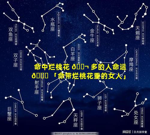 命中烂桃花 🐬 多的人命运 🐞 「命带烂桃花重的女人」
